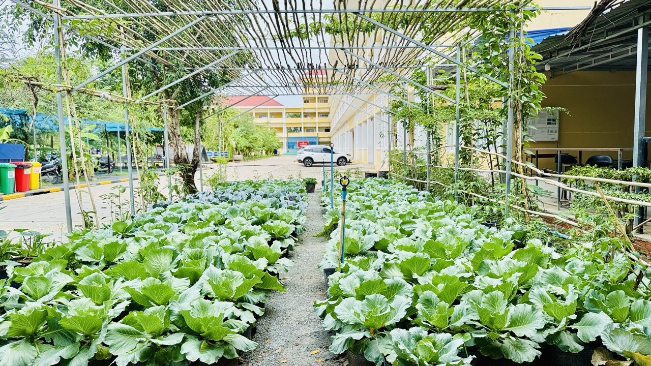ក្សេតសាស្ត្រ